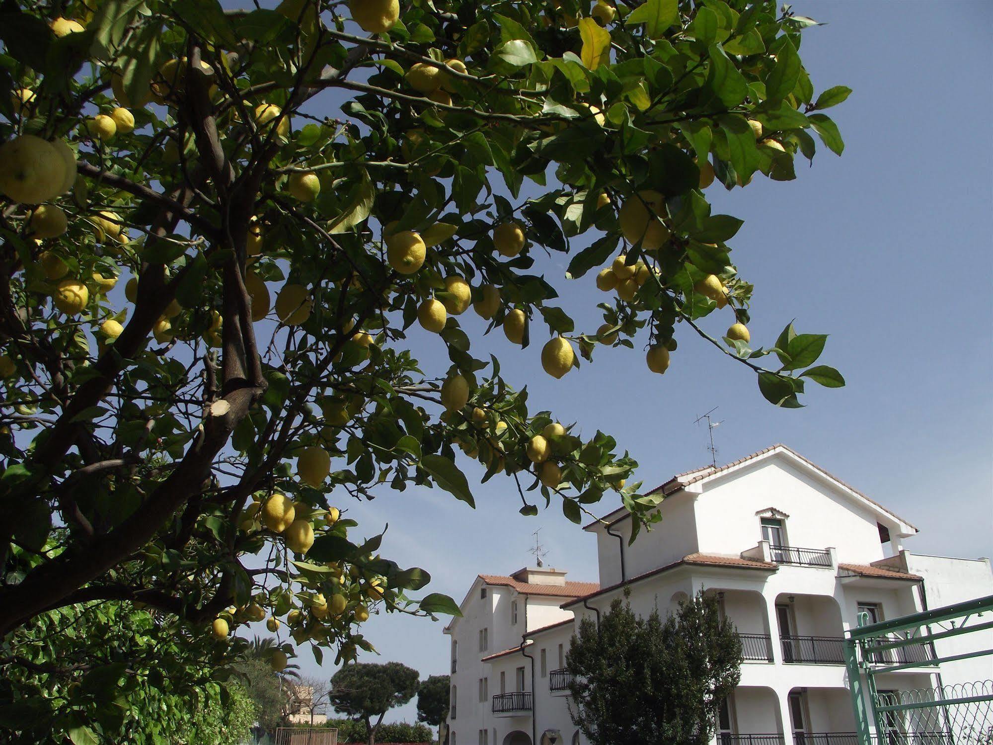 Il Borgo Degli Ulivi Resort Pietra Ligure Buitenkant foto